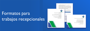 Imagen Lineamentos de diseño para los trabajos recepcionales