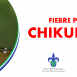 Imagen Fiebre Chikungunya y Dengue